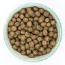 Picture of Burns Sensitive Grain Free Adult Dog Duck & Potato 2kg