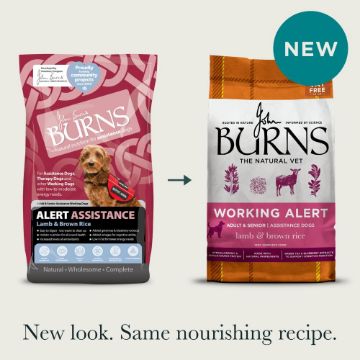 Picture of Burns Dog Alert Assistance Lamb & Brown Rice 12kg 