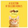 Picture of Go-Cat Indoor Chicken & Veg 2kg