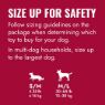 Picture of KONG Red Donut - Small / Medium x 1