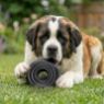 Picture of KONG Extreme Black Donut Large / XL x 1