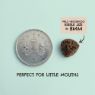 Picture of Wild Nibbles Hedgehog 2kg x 1