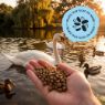 Picture of Wild Nibbles Swan & Duck 12.55g x 1