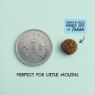 Picture of Wild Nibbles Swan & Duck 12.55g x 1