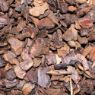 Picture of Pettex Orchid Bark 2kg