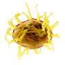 Picture of KONG Cat Toy Crackles Noodles x 1