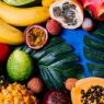 Picture of Ancol Dog Shampoo Tropical Fruits 200ml x 6