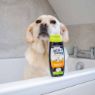 Picture of Ancol Dog Shampoo Tropical Fruits 200ml x 6