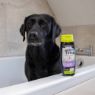 Picture of Ancol Dog Shampoo Lavender 200ml x 6