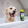 Picture of Ancol Dog Shampoo Tea Tree 200ml x 6