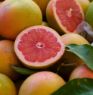 Picture of Ancol Dog Shampoo Grapefruit & Lemon 200ml x 6