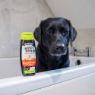 Picture of Ancol Dog Shampoo Grapefruit & Lemon 200ml x 6