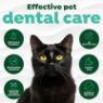Picture of TropiClean Dental Water Additive CAT 473ml x 1