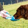 Picture of Henry Wag Water Bottle with Leaf Bowl Blue x 1