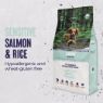 Picture of Alpha Adult Sensitive Salmon & Rice 15kg