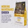 Picture of Alpha Working Maintenance Chicken 15kg