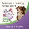 Picture of Beaphar StressLess Dog Calming Collar 60cm x 1