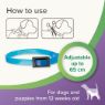 Picture of Beaphar StressLess Dog Calming Collar 60cm x 1