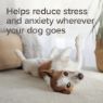 Picture of Beaphar StressLess Dog & Cat Calming Tablets 20tab x 1