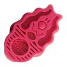 Picture of KONG Zoom Groom for Dogs Pink/Raspberry Standard x 1