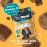 Picture of Pawstrong Senior Support Supplement for Dogs 180g x 1