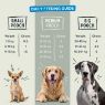 Picture of Pawstrong Senior Support Supplement for Dogs 180g x 1