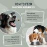 Picture of Pawstrong Senior Support Supplement for Dogs 180g x 1