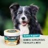 Picture of Pawstrong Senior Support Supplement for Dogs 120 Chews (360g) x 1