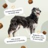 Picture of Pawstrong Senior Support Supplement for Dogs 120 Chews (360g) x 1