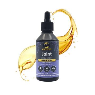 Picture of Proflax Bone & Joint 100ml x 1
