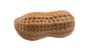Picture of Dog Life Tuffs TPR Nutty Small 11cm x 1