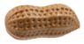 Picture of Dog Life Tuffs TPR Nutty Large 14.5cm x 1