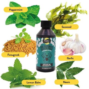 Picture of Proflax Keep Off Me! Tincture 250ml x 1