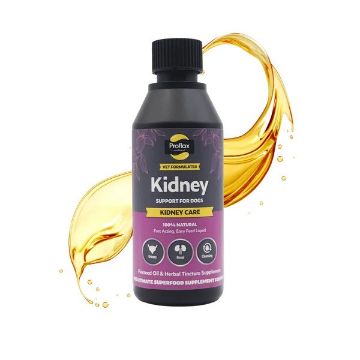 Picture of Proflax Kidney Care 250ml x 1