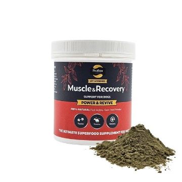 Picture of Proflax Power & Revive 100g x 1