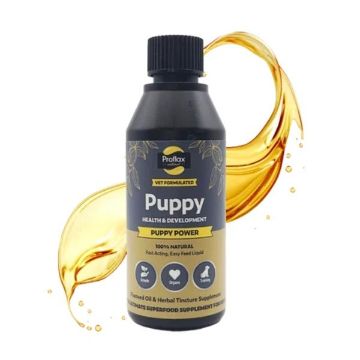 Picture of Proflax Puppy Power 250ml x 1