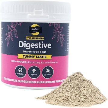 Picture of Proflax Tummy Tastic 125g x 1