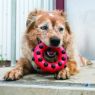 Picture of KONG Dotz Circle Large x 1