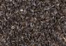 Picture of J&J Striped Sunflower Seed 10kg