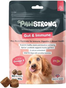 Picture of Pawstrong Gut & Immune Supplement for Dogs 180g x 1