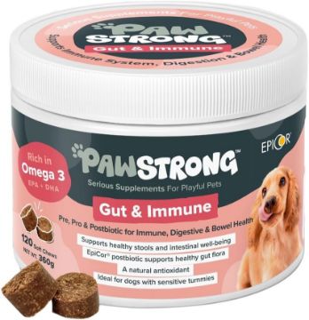 Picture of Pawstrong Gut & Immune Supplement for Dogs 360g x 1