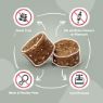 Picture of Pawstrong Gut & Immune Supplement for Dogs 360g x 1