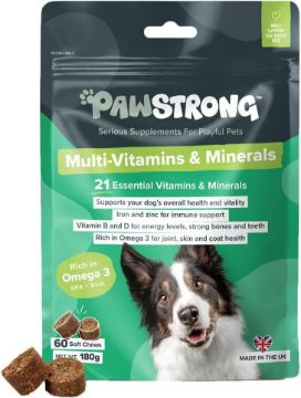 Picture of Pawstrong Multi-Vitamins & Minerals Supplement for Dogs 180g x 1