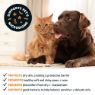 Picture of Bugalugs Nose & Paw Balm Stick 40g x 1