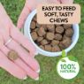 Picture of Proflax Skin, Gut & Immune Superchew 120g/60 Chews x 1
