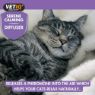 Picture of VETIQ Serene Calming Diffuser Starter Kit x 1