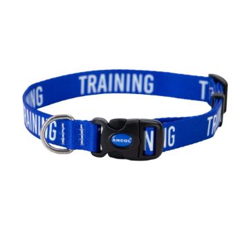 Picture of Ancol Nylon Adjustable Awareness Collar 30-50cm Size 2-5 - 'TRAINING' x 1