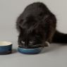 Picture of Scruffs Ombre Ceramic Pet Saucer - Blue 13cm x 1