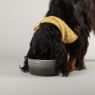 Picture of Scruffs Ombre Ceramic Food Bowl - Grey 19cm x 1