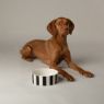 Picture of Scruffs Amalfi Stripe Ceramic Food Bowl - Black 19cm x 1